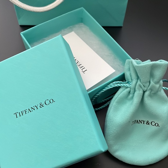 Tiffany & Co shopping bag with box, pouch and silver care card - Picture 2 of 8